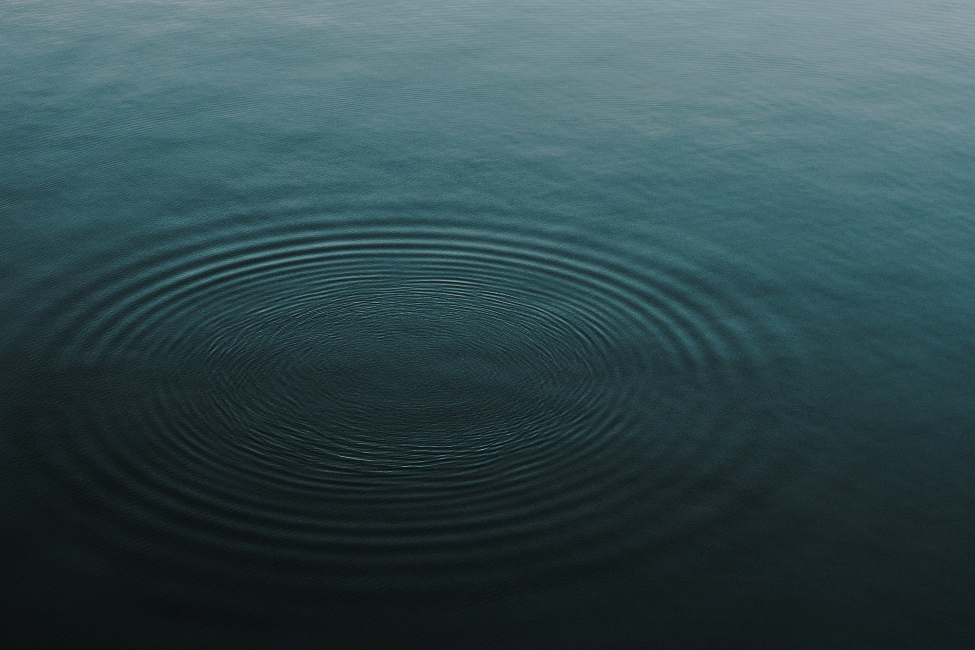 A body of blue water with circles of ripples on the surface