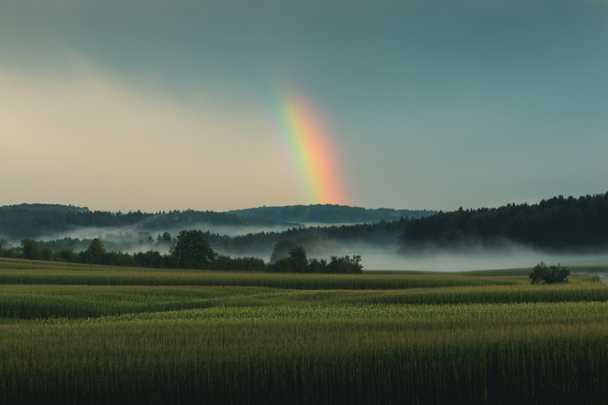 A rainbow is in the sky above a lush and green valley with low-level clouds.